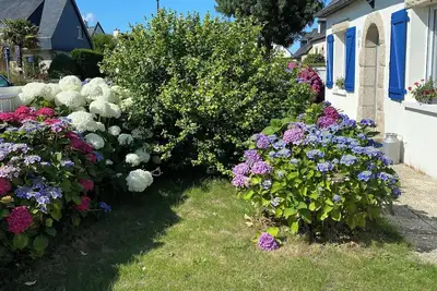 Image de Appartement 4 personnes situé à 10 minutes à pied du centre-ville de Dinan