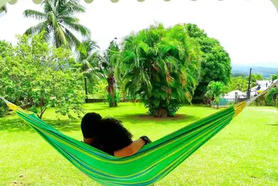 Image de Dans un coin de verdure