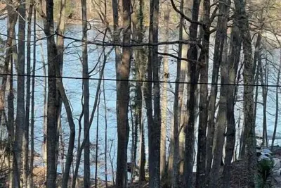 Lake Lanier House 1