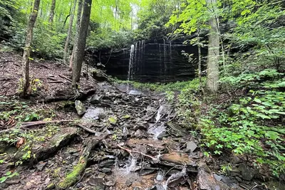 Image de Quaint campground in Zirconia with stunning views waterfall