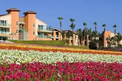 Image de Internal > 000-Car-She-Gra-3bd