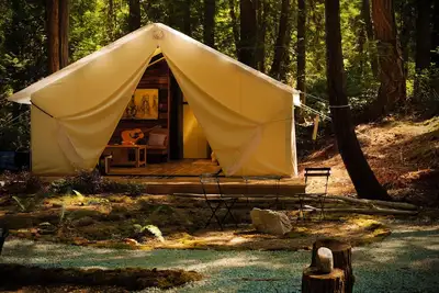 Image de Cedar Grove Tent - An Enchanting Wall Tent Experience