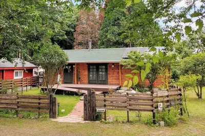 Image de Pine / Aso Kumamoto