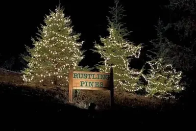 Image de Rustling Pines located in the Mountains of Ellijay Georgia!