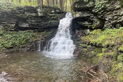 Image de Waterfall View from Secluded 4 Bed Cabin in East Branch, Ny with Mountain Views