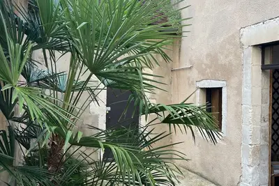 Image de Appartement Cosy plein centre - espaces extérieurs privés (Cour et Patio)