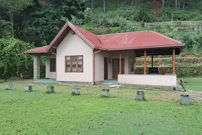 Tea Flower Adventure — Self-Catering Cottage with some spectacular activities. . .
