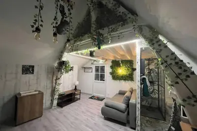 Image de Studio sous comble atypique avec extérieur