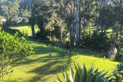 Image de Family friendly haven in the heart of the Sapphire Coast