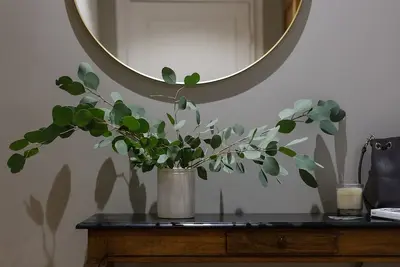 Image de Maison Lùisa\nAppartement Haussmano-Scandinave Haut de gamme