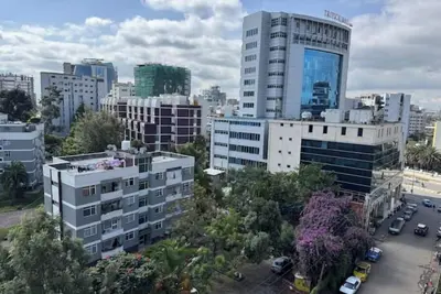 Image de Sunshine 603\n\n