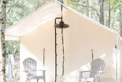 Image de Site #39 Standard  King Safari