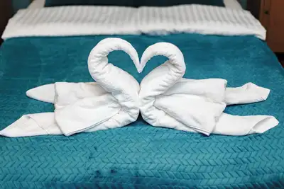 Image de Cozy Apartment