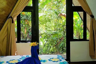 Image de A Peaceful Rainforest Retreat Near Arenal Volcano! #3\n\n