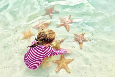 Image de Charming 2-bedroom Cayman cottage with Ac, WiFi steps from Cemetery Beach