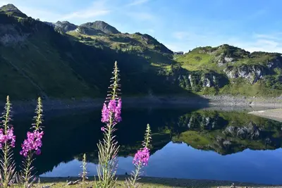 Image de Mooroom - Appartement\/fewo, Dusche, Wc, 1 Schlafraum