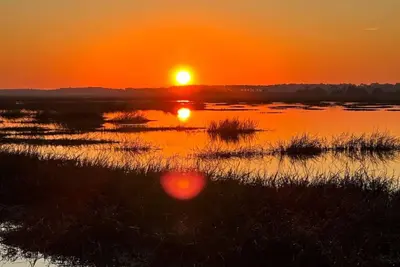 Image de Amazing inlaw suite with marsh sunrise & incredible wildlife including dolphins