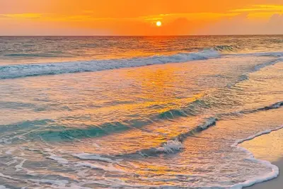 Image de Coastal Cowgirl! ! Unique & Spacious Vacation Retreat! Close To Ami! !