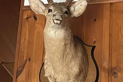 Image de Secluded Cabin in the Clouds with Starlink Internet