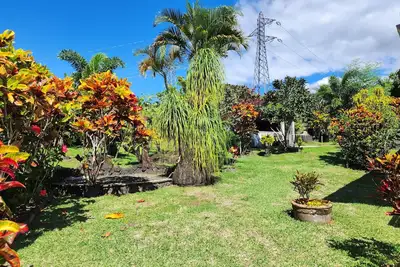 Image de La Caz Mangoustan