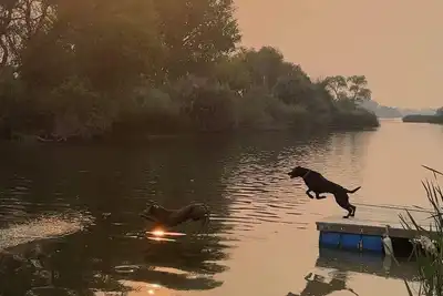 Image de Cozy & Private Paradise Snake River front- fishing \/hunting\/Utv riding close by