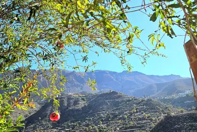 Image de Casa Rural Típica Canaria En La Montaña