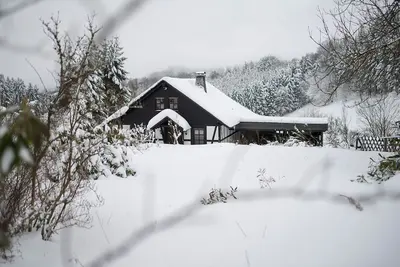 Image de ROMANTIKHÜTTE Neuastenberg - wood-burning stove, sauna and cozy factor