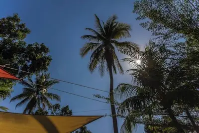 Image de 3br Beach House - Walk to Sandy Beach in Surf City