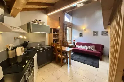 Image de Superbe duplex T3 à 100m des pistes secteur point show