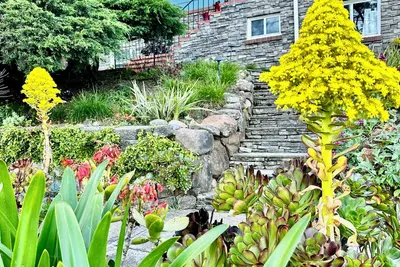 Image de Charming 3-bedroom house in Martinez with fast WiFi and Beautiful backyard