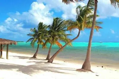 Image de A5 - Ocean Breeze @ Breezy Port