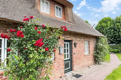 Image de Confortable appartement pour 6 personnes avec Wifi, Tv et animaux admis