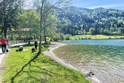Image de Joli appartement dans une maison de vacances avec climatisation, Tv, terrasse et animaux admis