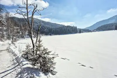 Image de Bel appartement dans une maison de vacances avec climatisation, Tv, terrasse et animaux admis