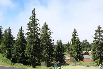 Image de Studio 4 personnes proche pistes, balcon plein sud