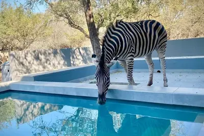 Image de Bordering Kruger National Park, this modern and spacious 3 bedroom lodge awaits