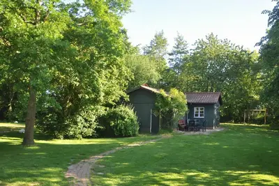 Image de Thatchdachkate Sillenserwisch