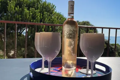 Image de T3 Vue mer les pieds dans l'eau + piscine  chauffée + clim. + plage privée