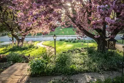 Image de Zen Cottage-walk to Whole Foods -5 min drive to Tanger Broadway shows! Pets✅