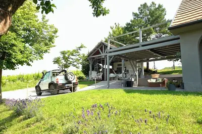 Image de Private House close to lake Balaton at the vineyard- - VölgyhĂd Village