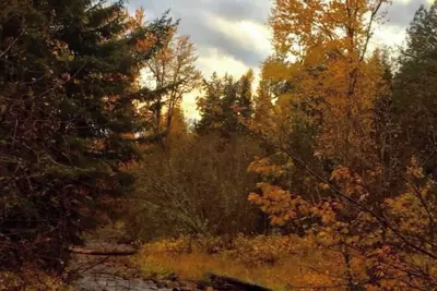 Image de Grant Creek Lodge-Family, Friends and Retreats