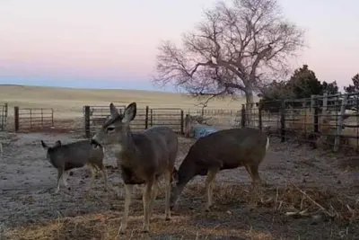 Image de Lake views, secluded & newly remodeled ranch house