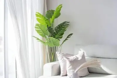 Image de Seaview Condo in Saba Pasha - Sp10