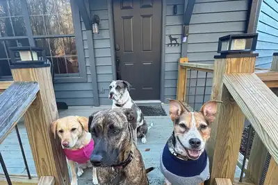 Image de RiverFront/Fenced/LOVEDogs/KingBeds/Sauna/Steam