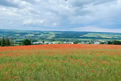 Image de Pet-friendly vacation apartment in the Wesergergland, directly on the Weser cycle path