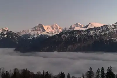 Image de Cozy chalet in Beatenberg