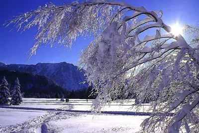 Image de Charmant studio à Chamrousse, proche pistes et vue imprenable