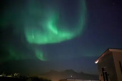 Image de Welcome to Nordlys Family Studio - A place to explore nature!