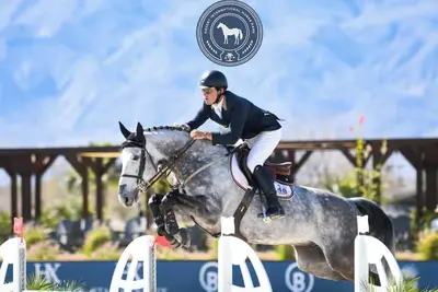 Image de Equestrian Luxury: 5br Oasis Minutes from Desert Horse Park & Thermal Club!