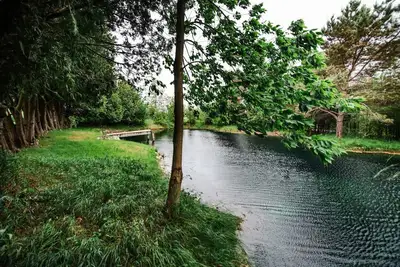 Image de Modern Pondside Retreat W/ Hot tub